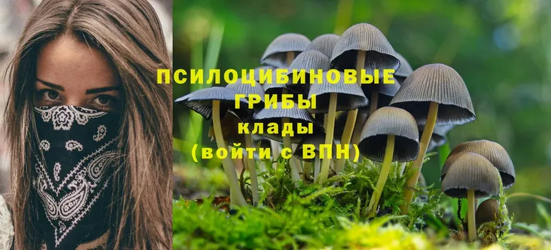 где найти   blacksprut как зайти  Галлюциногенные грибы Psilocybine cubensis  darknet официальный сайт  Кохма 